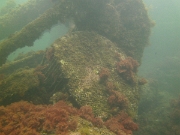 PICT0087