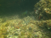 PICT0121