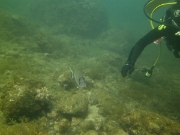PICT0126