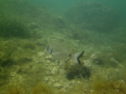 PICT0127