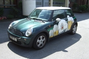 DSCF3867