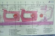 DSCF3890
