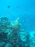 DSCF8349
