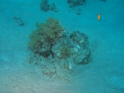 DSCF8357