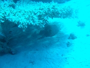 DSCF8376