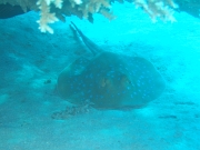 DSCF8379