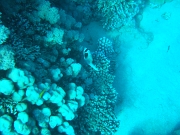 DSCF8401