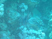 DSCF8403