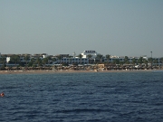 DSCF8560
