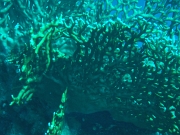 DSCF8785