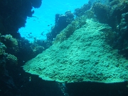 DSCF8789