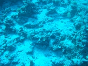 DSCF8814