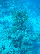 DSCF8818