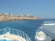 DSCF8768