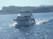 DSCF8771