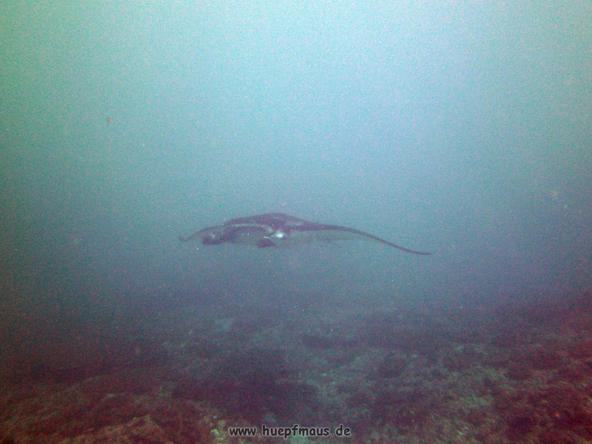 PICT0074.JPG