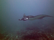 PICT0076
