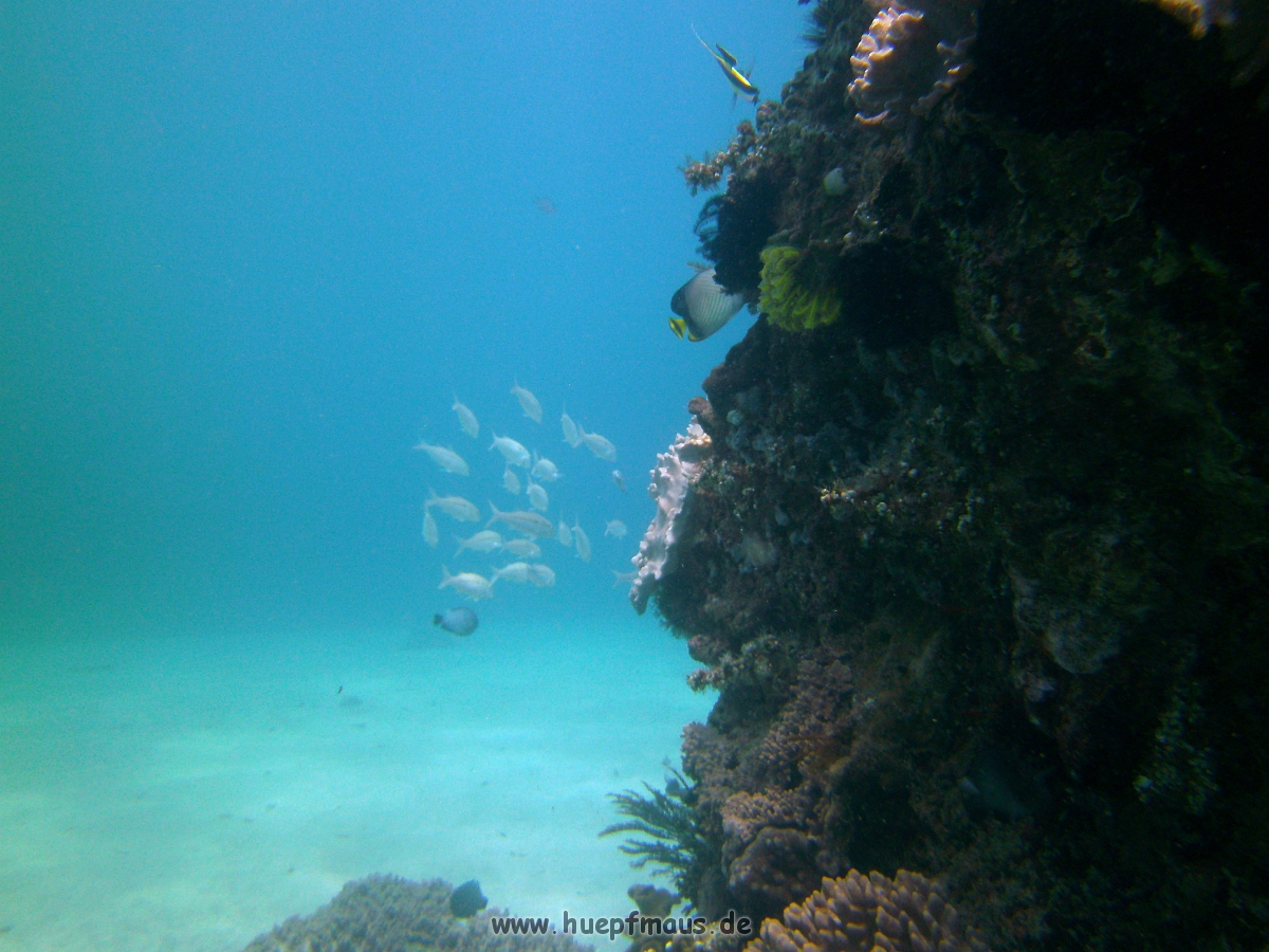 PICT0158.JPG