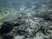 PICT0247