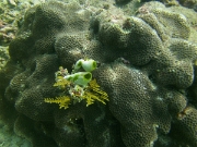 PICT0248