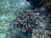 PICT0254
