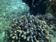 PICT0255