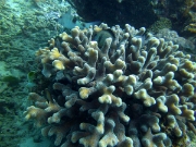 PICT0256