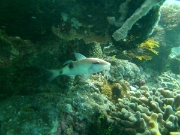 PICT0258