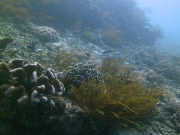 PICT0259