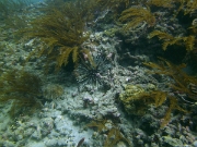 PICT0261
