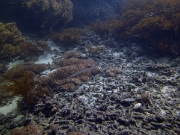 PICT0269
