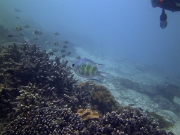 PICT0288