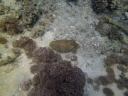 PICT0296