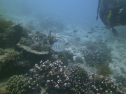 PICT0297