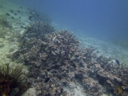 PICT0301