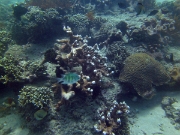 PICT0302