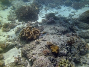 PICT0309