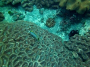 PICT0129