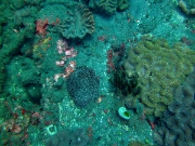 PICT0140