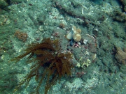 PICT0151