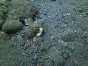 PICT0324
