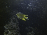 PICT0349