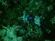 PICT0359