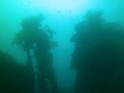 PICT0370