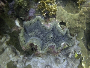 PICT0374