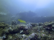 PICT0375
