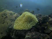 PICT0467