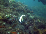 PICT0470