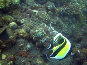 PICT0471