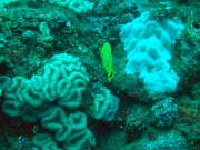 DSCF1805